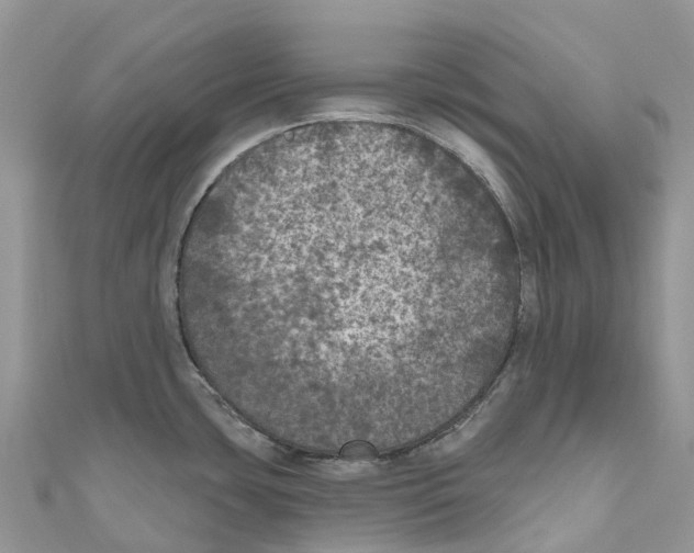 X0000111001435200907171803