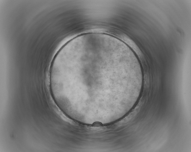 X0000111001436200907171803