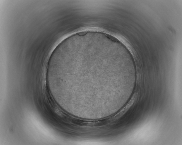 X0000111001438200907171803