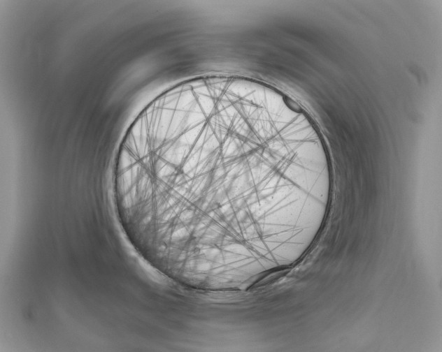 X0000111001440200907171804