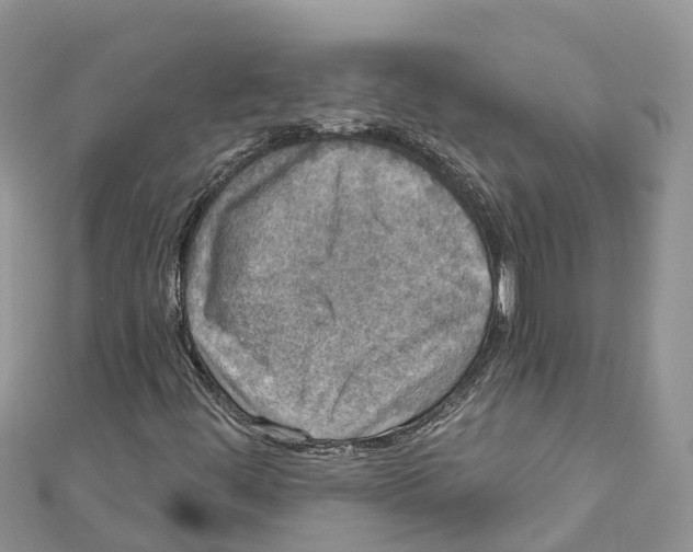 X0000111001444200907171803