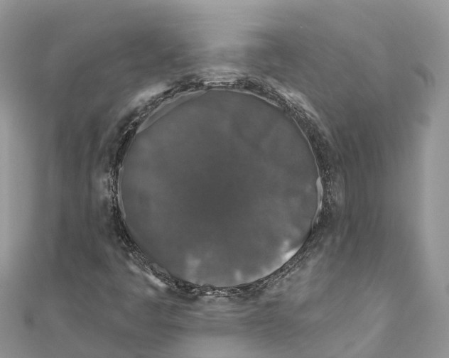 X0000111001445200907171803