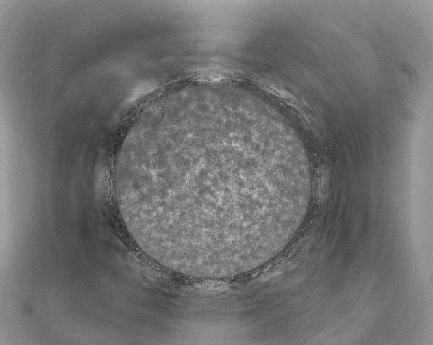 X0000111001446200907171803