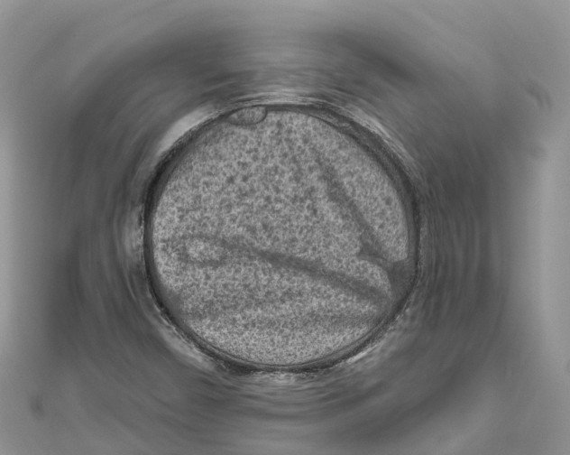 X0000111001450200907171803