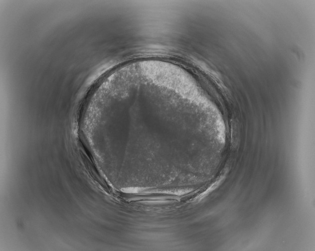 X0000111001453200907171803