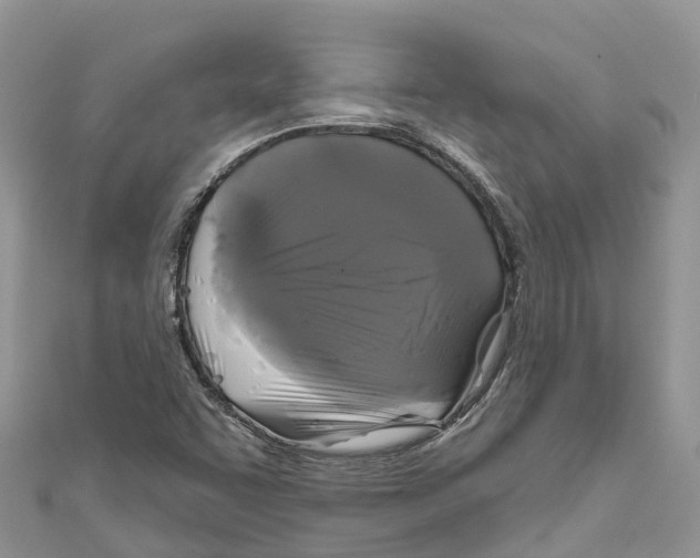 X0000111001455200907171803