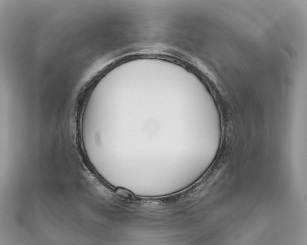 X0000111001456200907171803