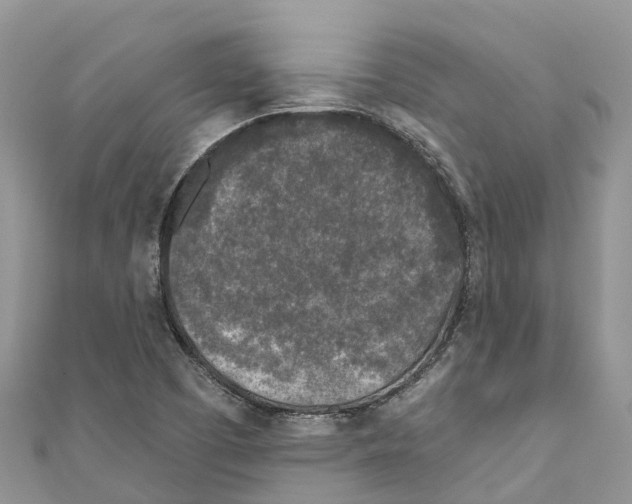 X0000111001457200907171803