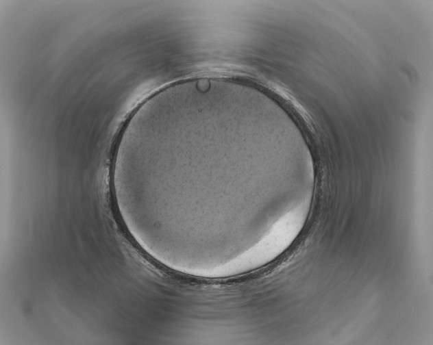 X0000111001459200907171803