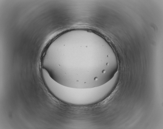 X0000111001461200907171803