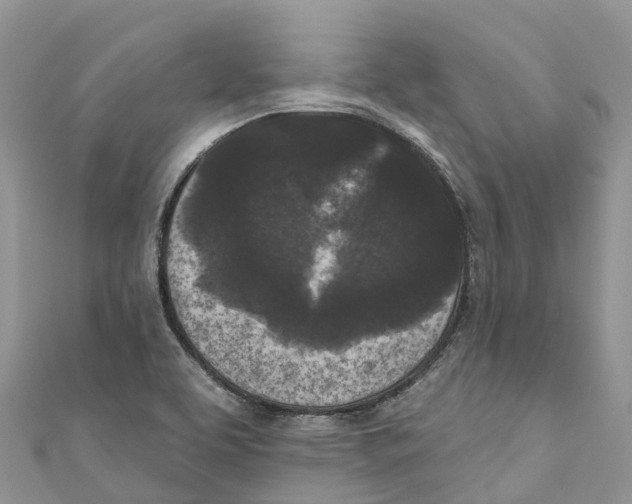 X0000111001463200907171803