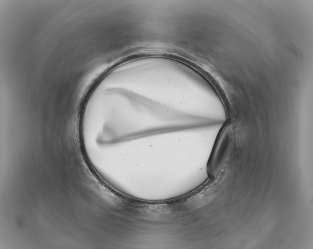 X0000111001464200907171803