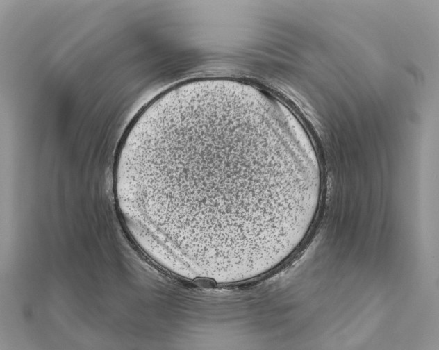 X0000111001465200907171803