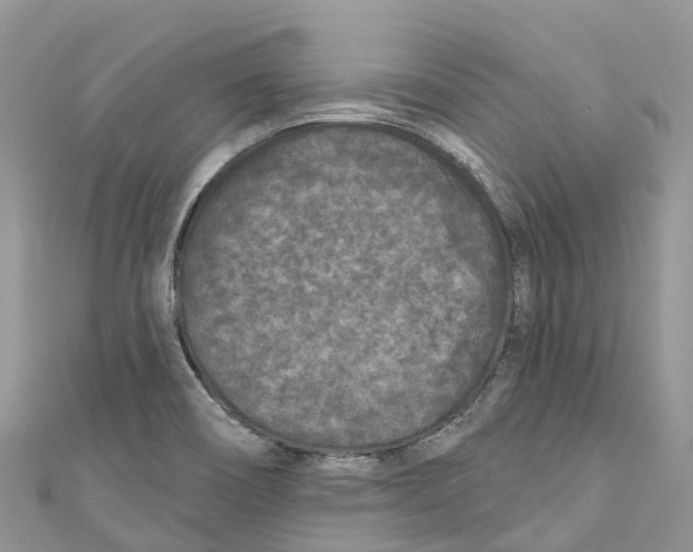 X0000111001466200907171803