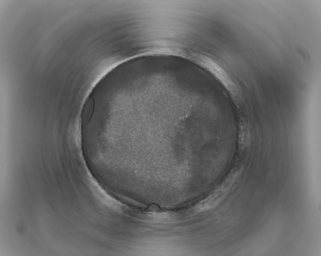 X0000111001468200907171803