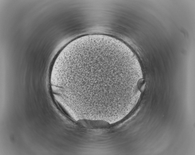 X0000111001469200907171802