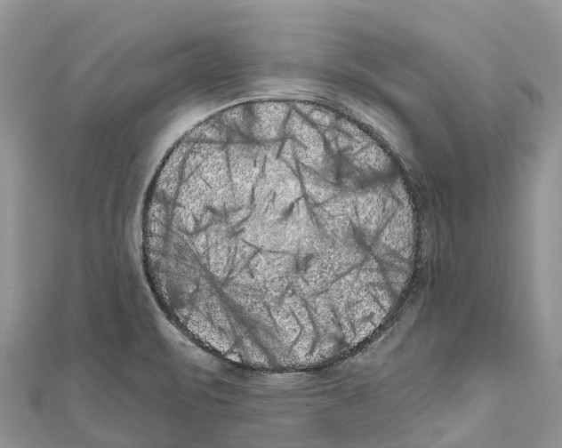 X0000111001471200907171802