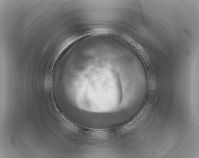 X0000111001473200907171802