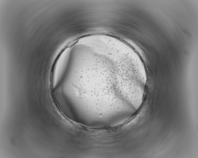 X0000111001477200907171802