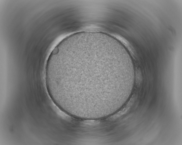 X0000111001478200907171802