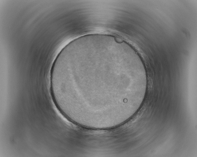 X0000111001479200907171802