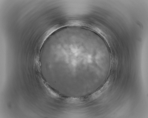 X0000111001481200907171802