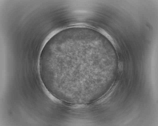 X0000111001482200907171802