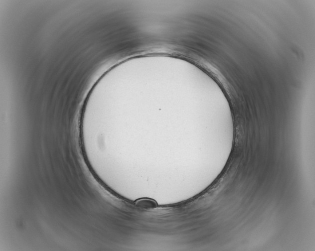 X0000111001483200907171802