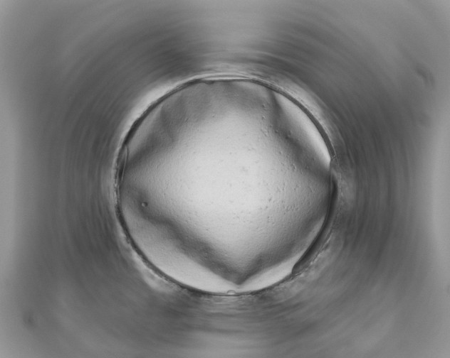 X0000111001485200907171802