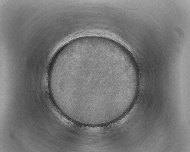 X0000111001498200907171802