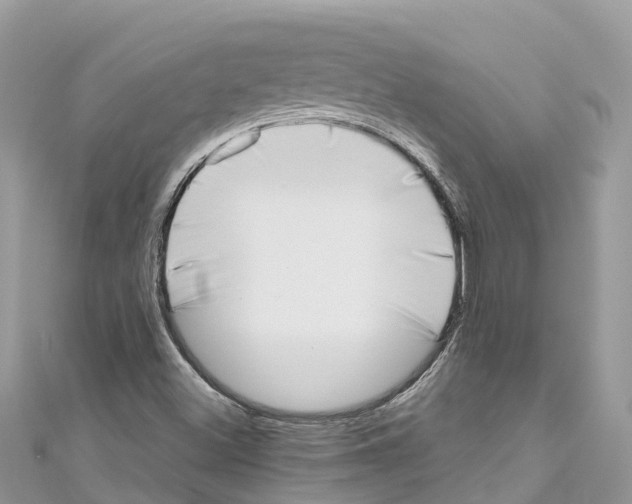 X0000111001500200907171802