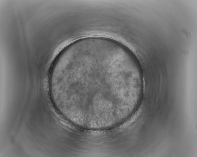 X0000111001501200907171802