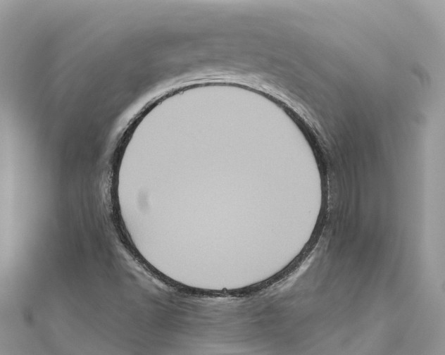 X0000111001502200907171802