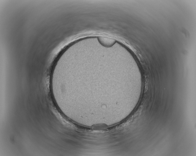 X0000111001503200907171802