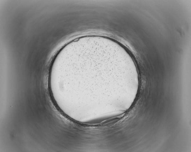 X0000111001504200907171802