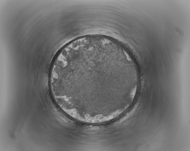 X0000111001505200907171802