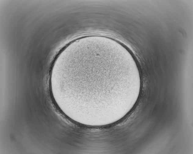 X0000111001507200907171802