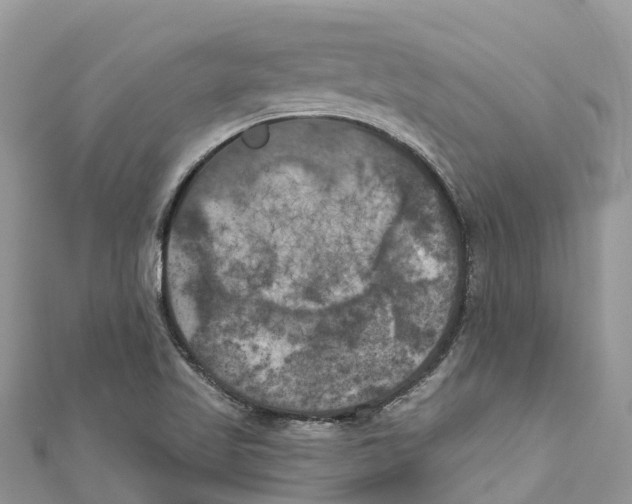 X0000111001509200907171802