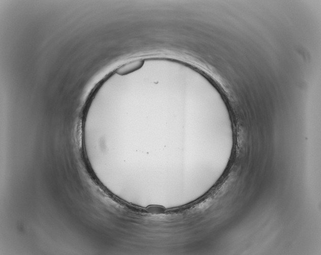 X0000111001510200907171802