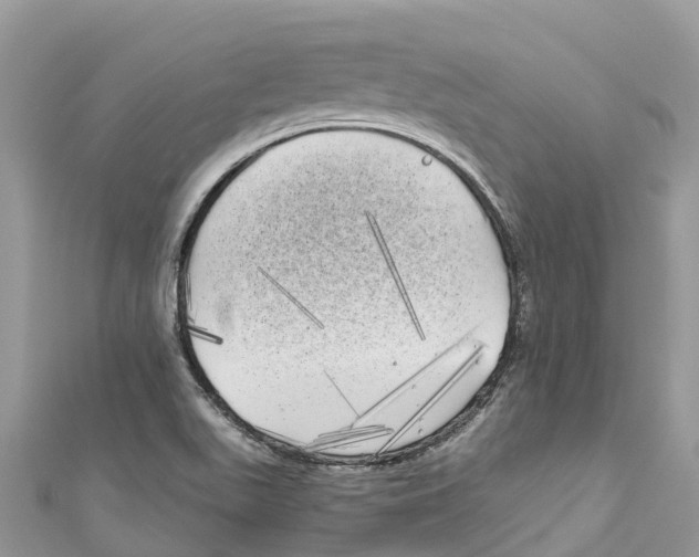 X0000111001511200907171802