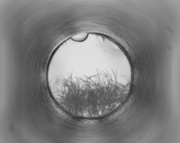 X0000111001513200907171802