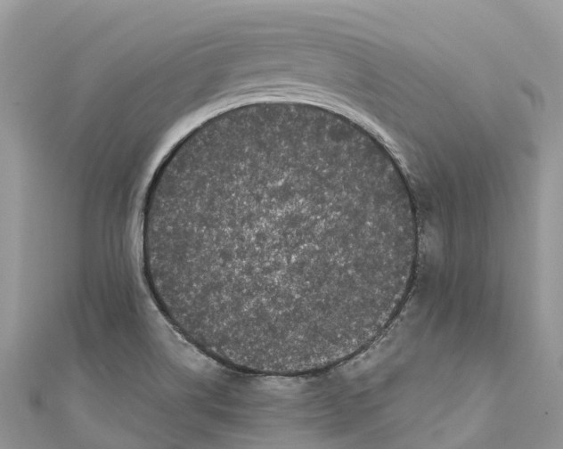 X0000111001514200907171802