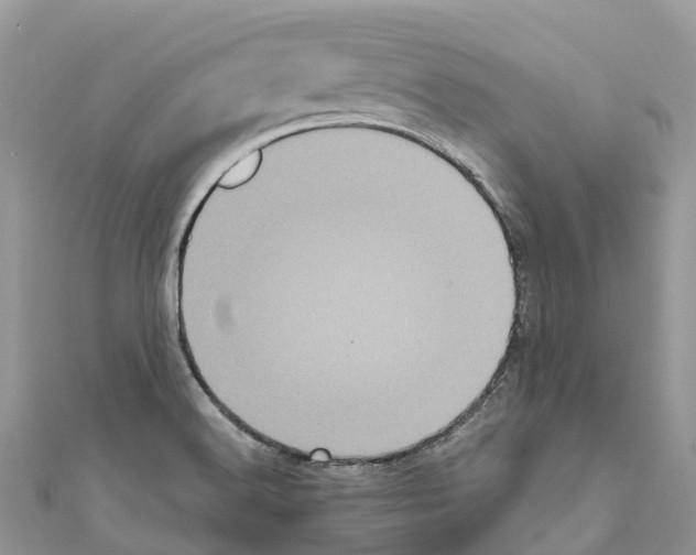 X0000111001516200907171802