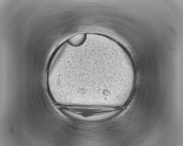 X0000111001517200907171802