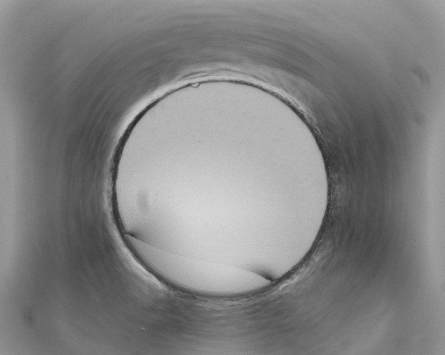 X0000111001518200907171802