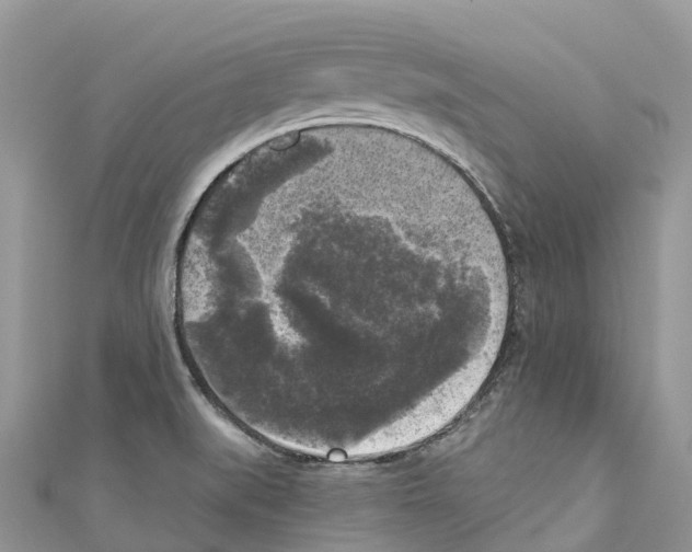 X0000111001519200907171802