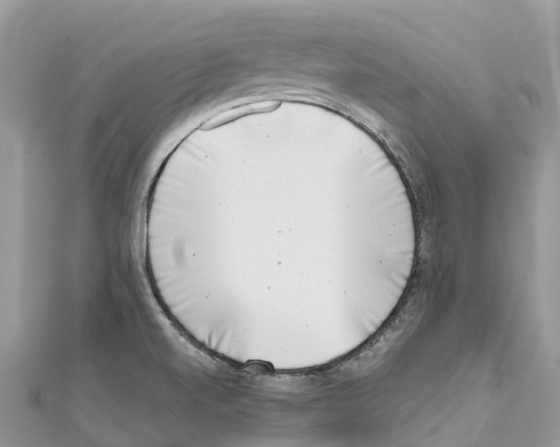 X0000111001520200907171802