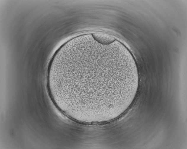 X0000111001523200907171802