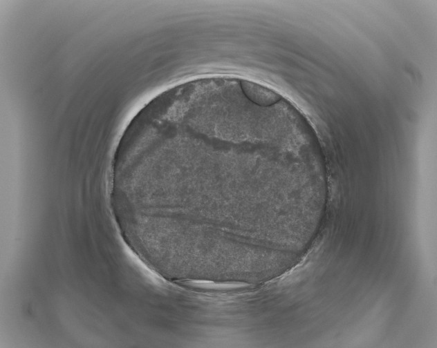 X0000111001527200907171802