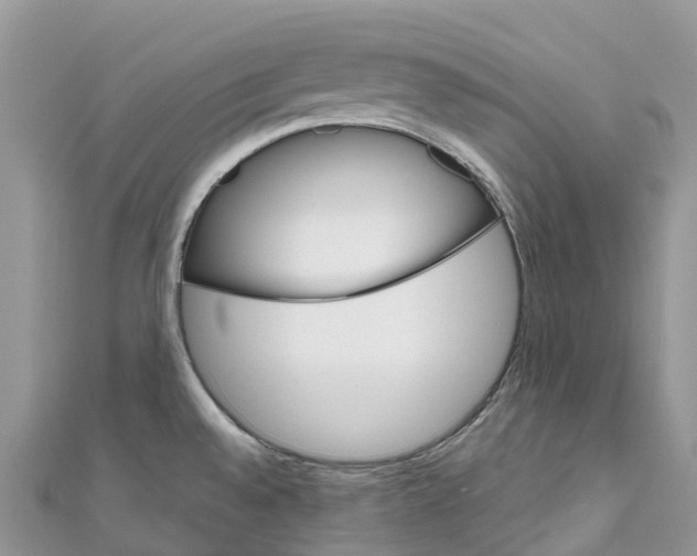 X0000111001528200907171802